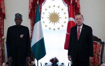 Cumhurbaşkanı Erdoğan, Nijerya Cumhurbaşkanı Buhari ile görüştü